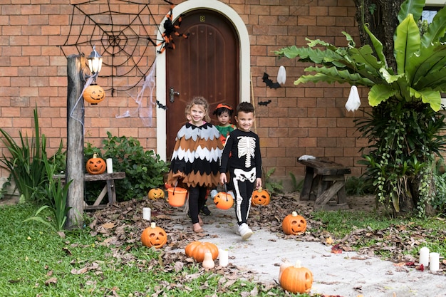 Ozdoby Halloween które ożywią Twój dom i ogród