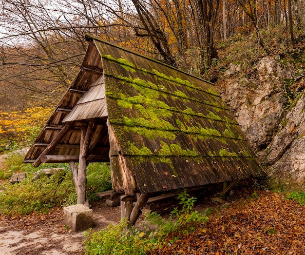 Altany ogrodowe OLX – sprawdzone i atrakcyjne oferty